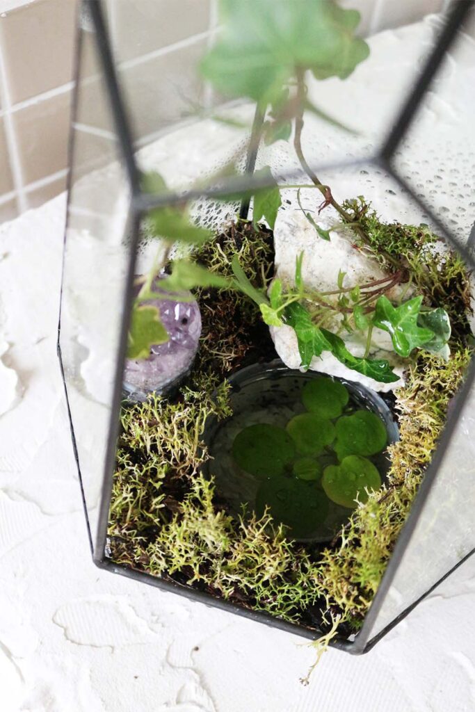 Super Easy DIY Gifts For Her ANYONE Can Make: diy crystal terrarium with mini pond